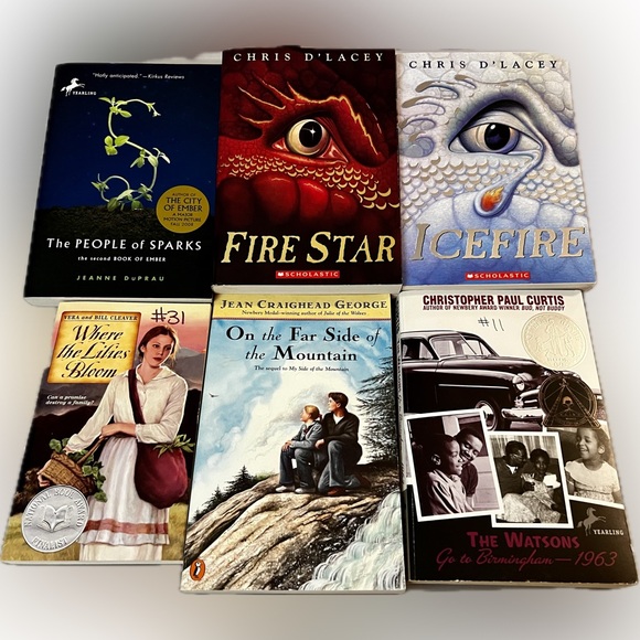 Fiction Book Lot of 6 Ice Fire Fire Star Chapter Like New Juvenile School - Picture 1 of 9